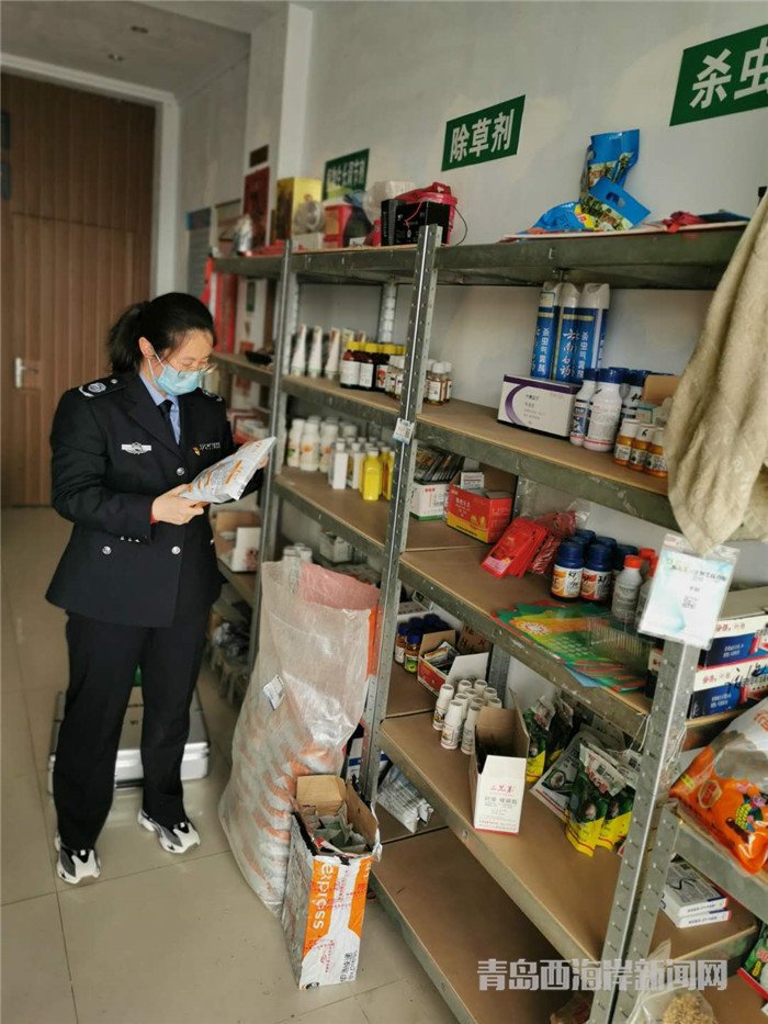 圖為西海岸新區(qū)農(nóng)業(yè)綜合行政執(zhí)法大隊(duì)執(zhí)法隊(duì)員在查看玉米種子包裝。.jpg